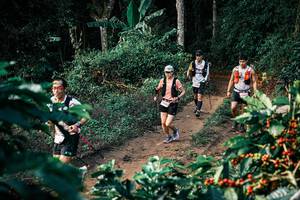 BIB: 
                            <button type="button" onclick="openModal(25823195)" class="btn btn-primary btn-sm float-right btn-popup" data-toggle="modal" data-target=".modal-high-quality">
                        <i class="fas fa-shopping-cart"></i> Add to Cart
                    </button>
                                            <button type="button" onclick="isThisMe(25823195, true)" class="btn btn-success btn-sm float-right btn-popup btn-isme hidden" data-toggle="tooltip" data-placement="bottom" title="นี่คือรูปของคุณใช่ไหม คลิกที่นี่เพื่อเอาเข้าอัลบั้ม">
                        <i class="fas fa-plus"></i> Add to album
                    </button>
                    <button type="button" onclick="isThisMe(25823195, false)" class="btn btn-warning btn-sm float-right btn-popup btn-isnotme hidden">
                        <i class="fas fa-ban"></i> Remove from album
                    </button>